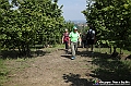 VBS_9754 - A spasso per Tigliole 2025 - Nona edizione